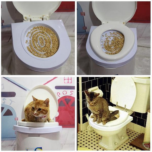 How to train your cat to use the… Toilet?