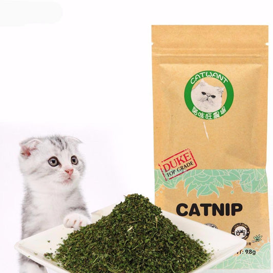 Natural Fresh Organic Catnip img 01