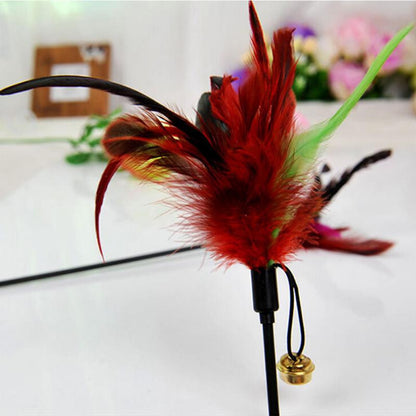 Cat toy Feather Teaser Rod img 