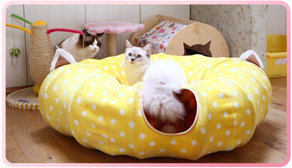 Funny Cat Long Tunnel img 5