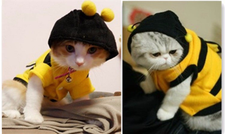 Hot Sales clothing for Cats