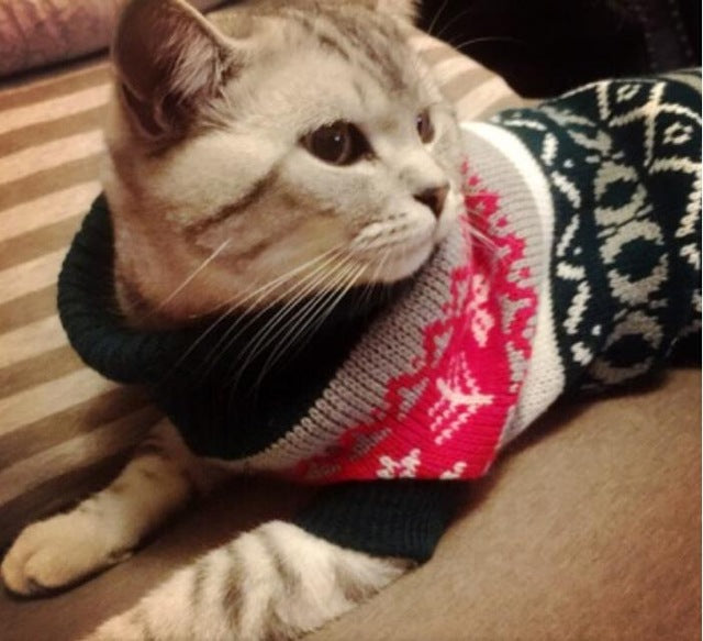 Candy Stripe Color Warm Winter Cat Sweater for cats img 06