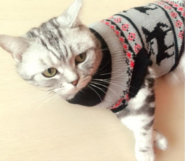 Candy Stripe Color Warm Winter Cat Sweater for cats img 10