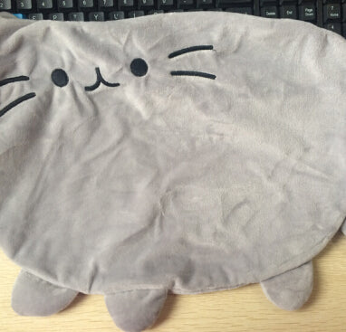 40*30cm  Cat Pusheen Pillow