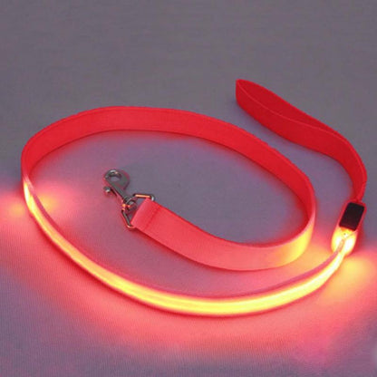 Night Safety Nylon LED Cat Collar Flashing Glow In The Dark img 08