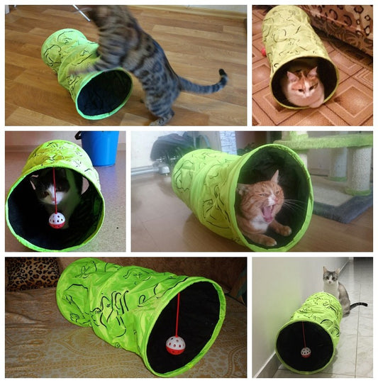 Funny Cat Tunnel img 1