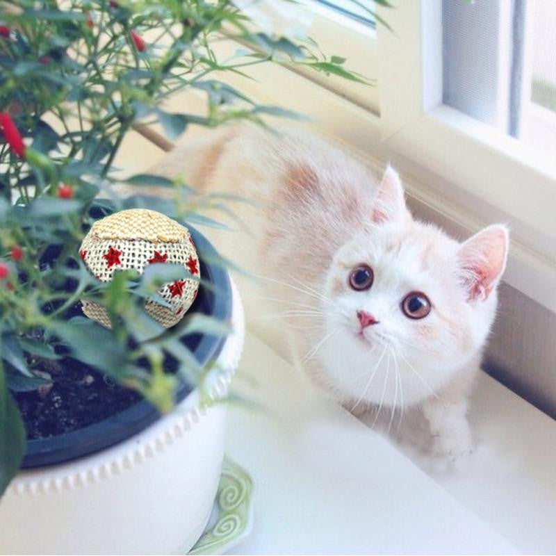 4pcs cat toy balls img 4