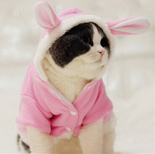 Pet, Cat Rabbit Clothes suppliers for Cat img 01
