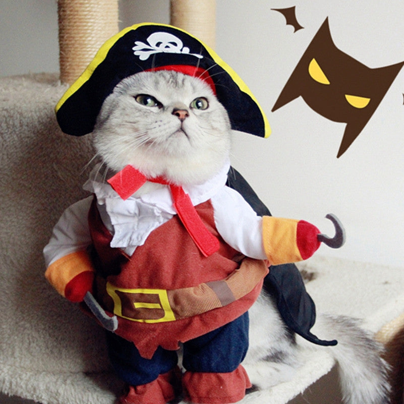 Cat Suit Pirate Costume Halloween img 02