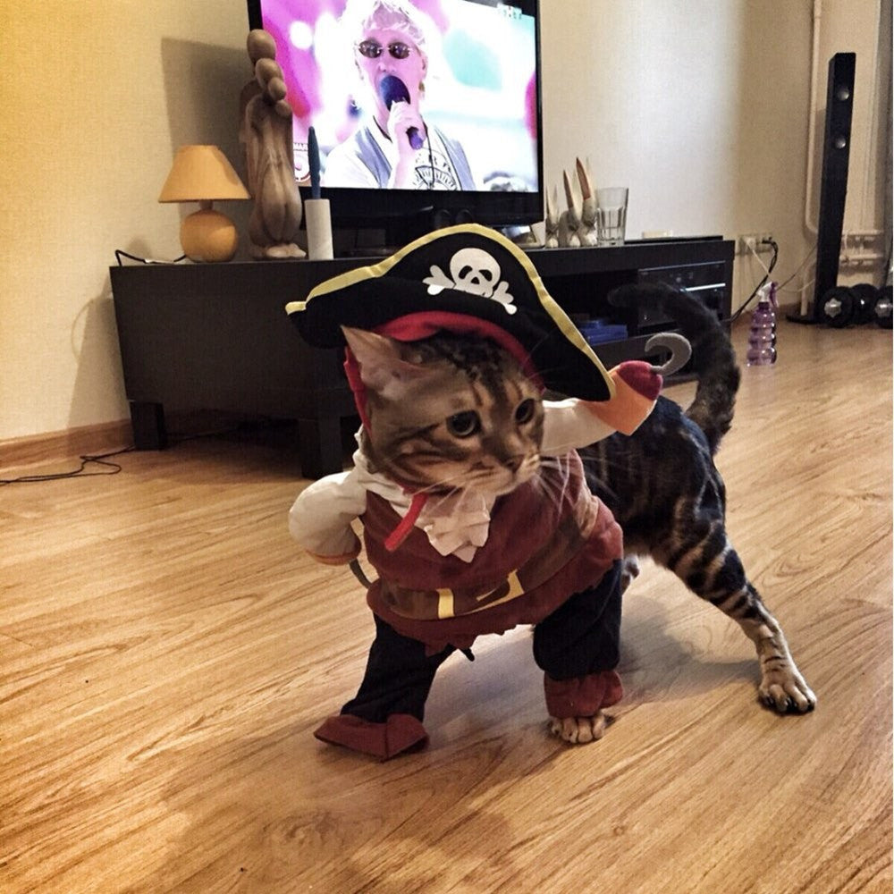 Cat Suit Pirate Costume Halloween img 04