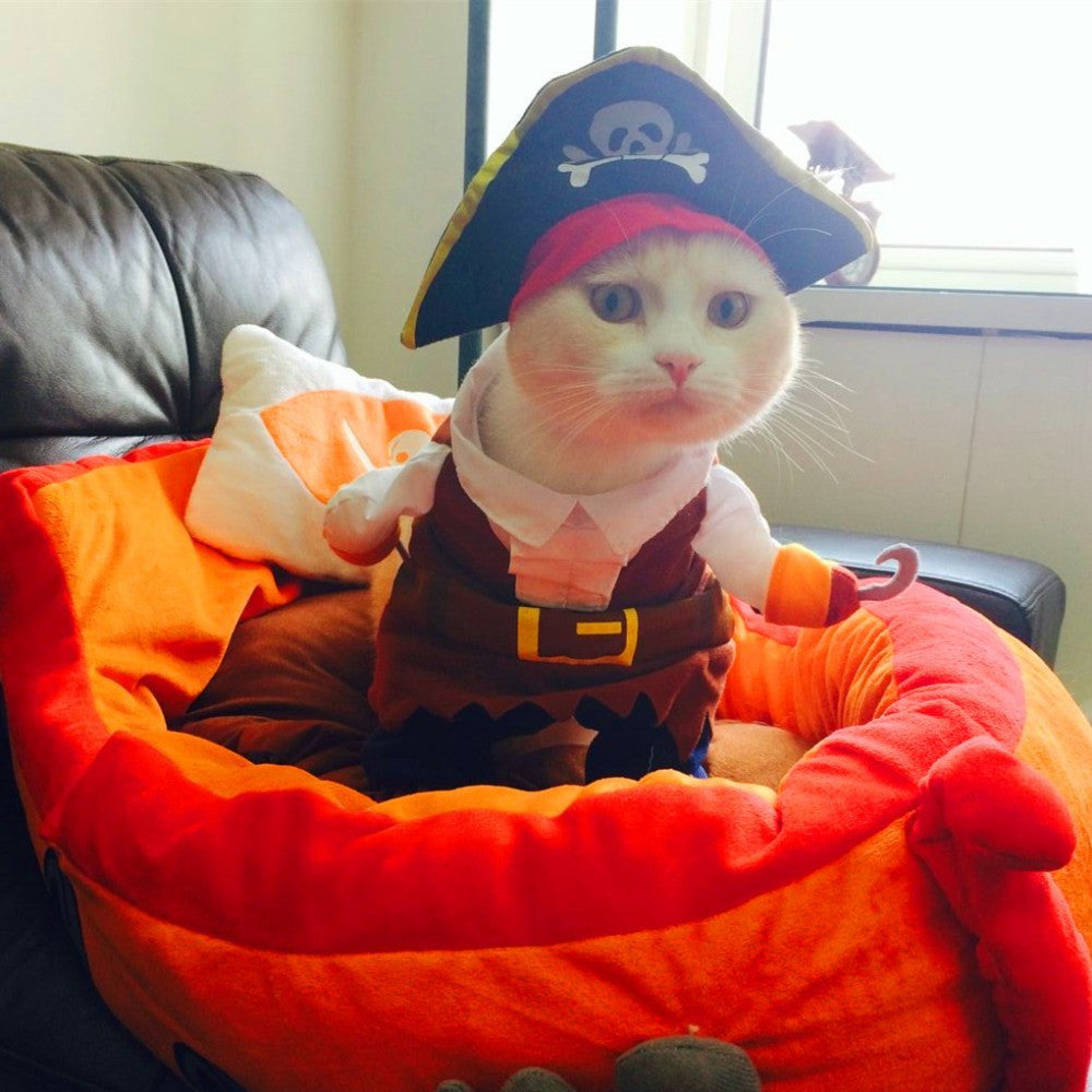 Cat Suit Pirate Costume Halloween img 06