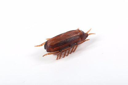 Electronic cat toys - Electronic Cockroach toy for cat img 03