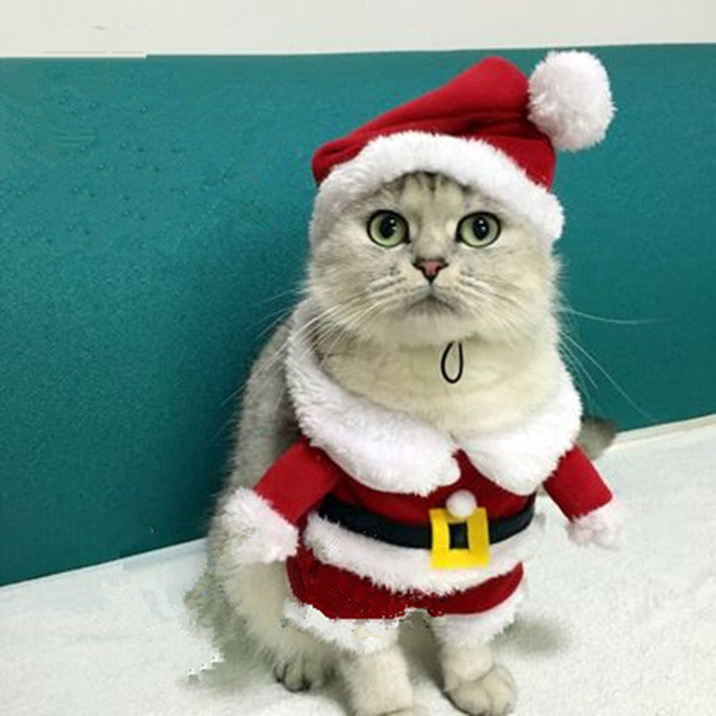 Santa Claus Cat Costume. Cat Coat Winter Clothes Christmas img 06