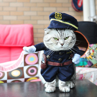Funny Cat Clothes Customes img 10