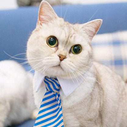 Cat Costume Velcro Tie & Clip Tie for Cats img 04