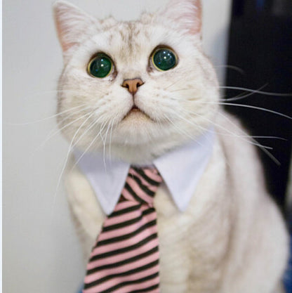 Cat Costume Velcro Tie & Clip Tie for Cats img 02