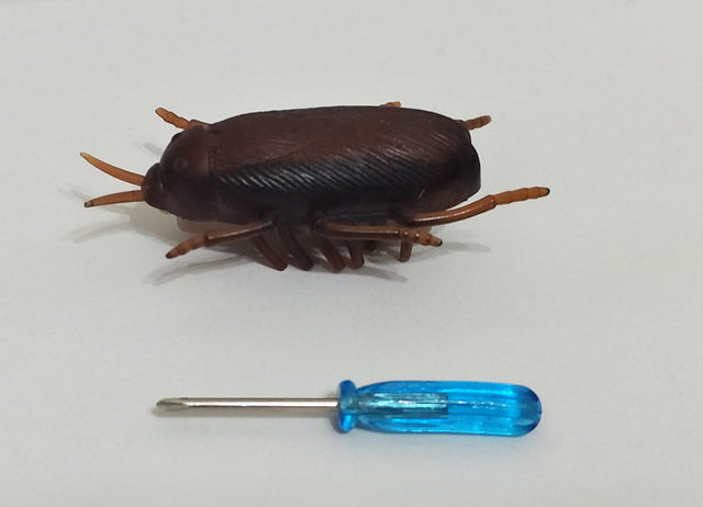 Electronic cat toys - Electronic Cockroach toy for cat img 04