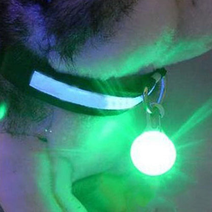 Cat, Pet Safety Collar LED Glowing