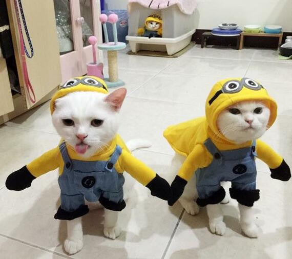 Funny Cat Clothes Customes img 02
