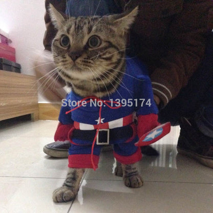 Funny Cat Clothes Customes img 015