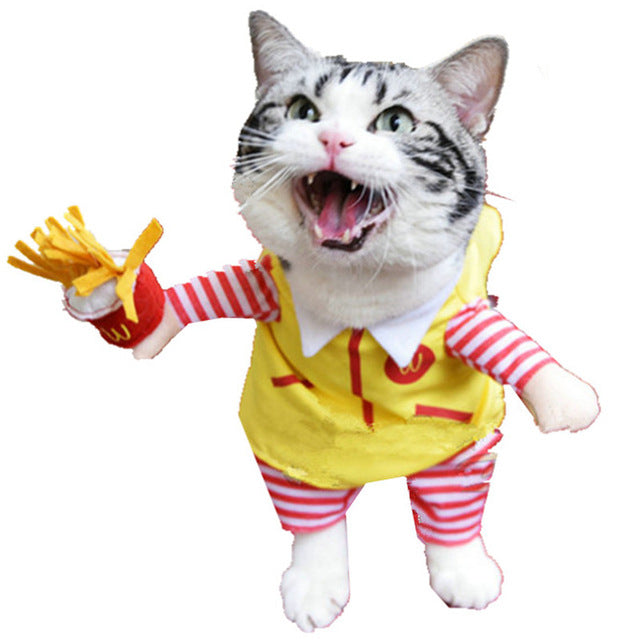Funny Cat Clothes Customes img 06