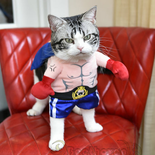 Funny Cat Costumes Boxer Cosplay img 01