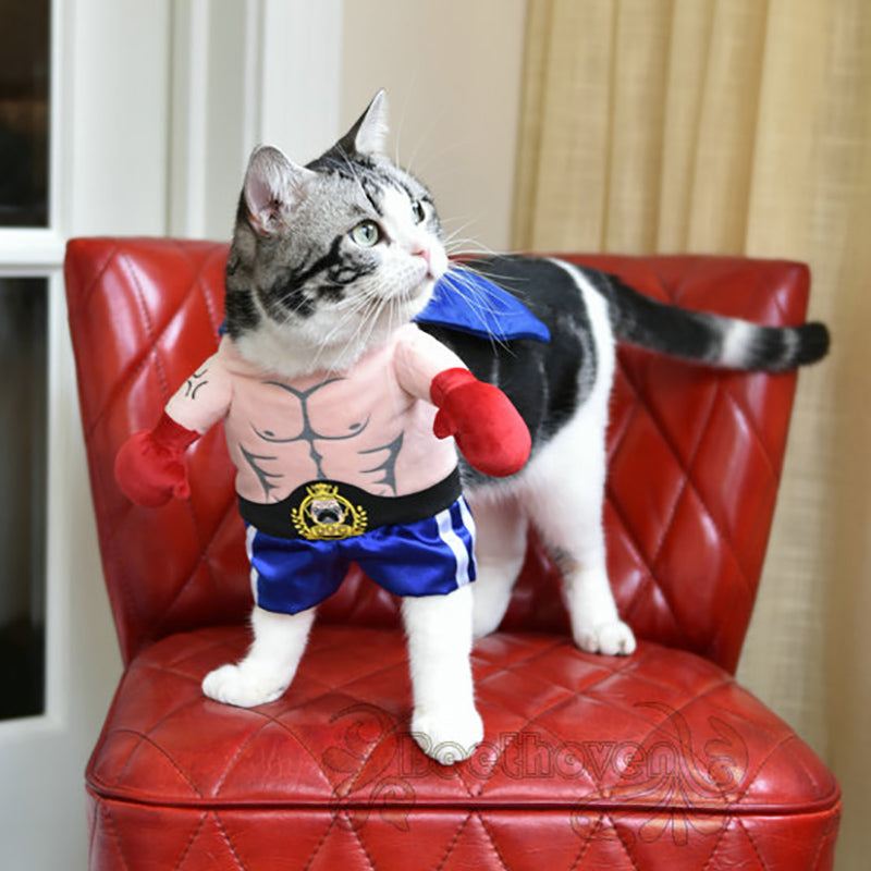 Funny Cat Costumes Boxer Cosplay img 03