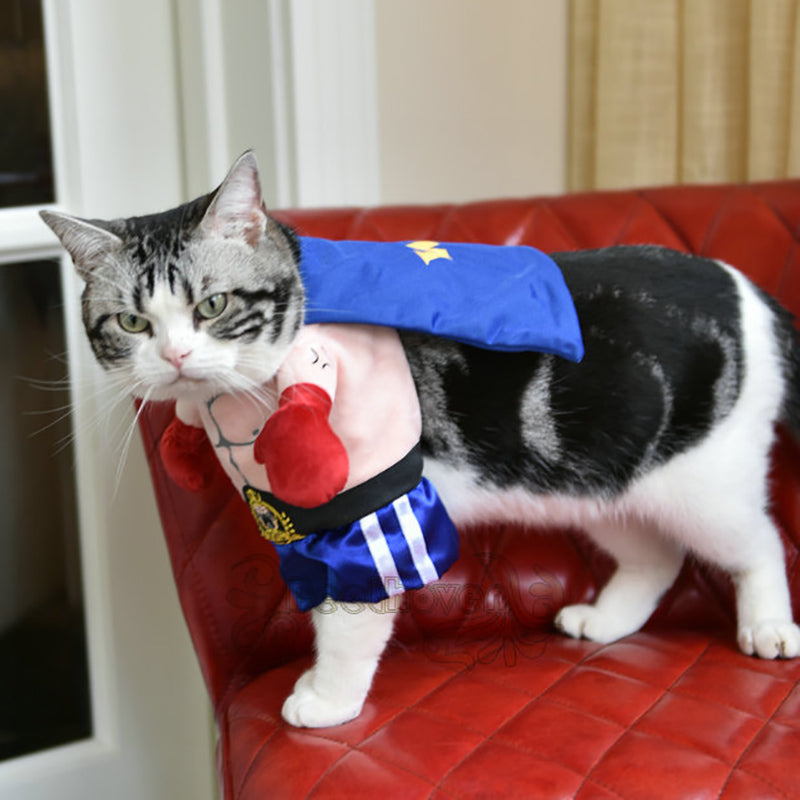 Funny Cat Costumes Boxer Cosplay img 02