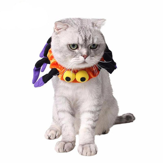 Funny Cat Halloween Spider  Collar