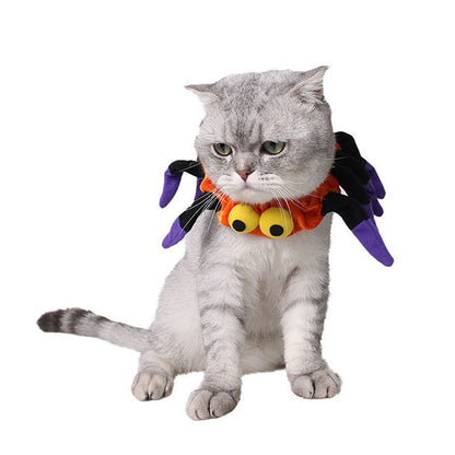 Funny Cat Halloween Spider  Collar