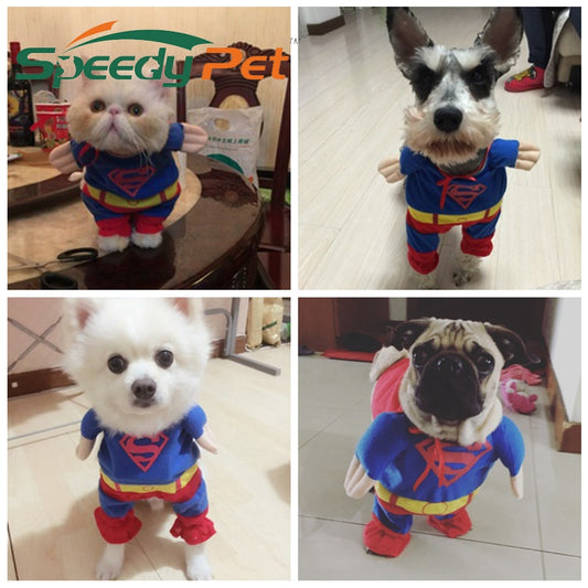 SuperMan Cat Cotton Clothes Custome img 01